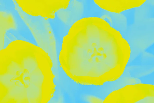 Żółty Cytryna Kolor Kwiaty Tulipany Niebieskim Tle — Zdjęcie stockowe