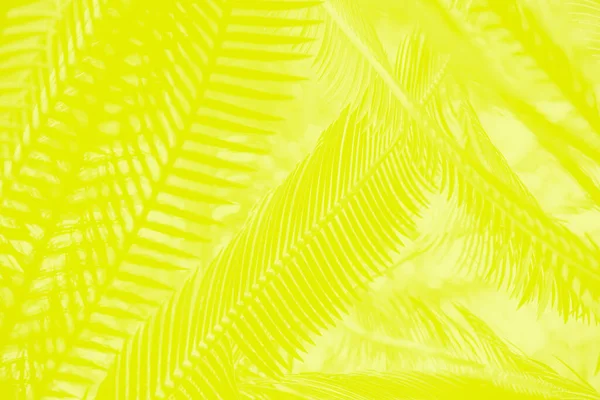 Levande Gul Citron Färg Abstrakt Bakgrund Med Palmblad Mönster — Stockfoto