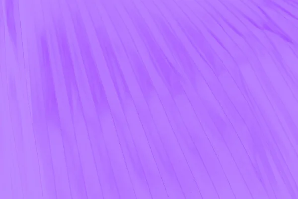 Violet lilac purple lavender color abstract striped background