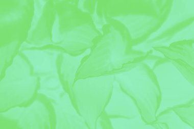Yaprak desenli, yeşil tonlu soyut yeşil arkaplan