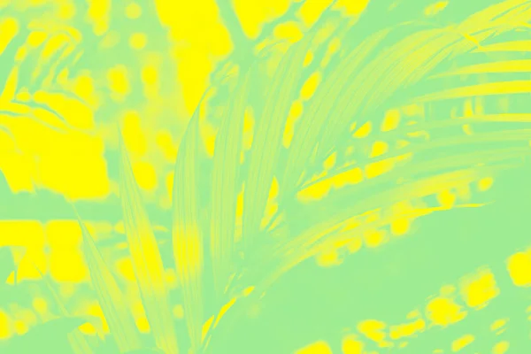 Αφηρημένο Πράσινο Κίτρινο Φόντο Σχέδιο Φύλλο Φοίνικα — Φωτογραφία Αρχείου