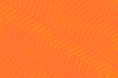 Palmiye yaprakları desenli canlı turuncu arkaplan