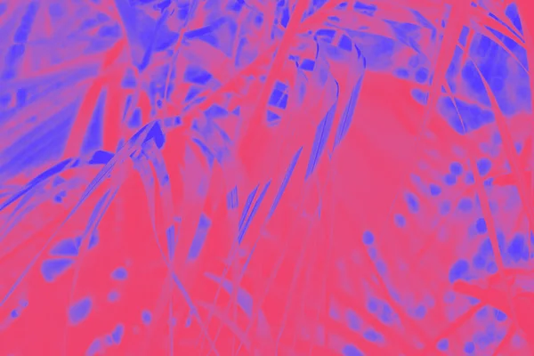 洋红色和紫罗兰色的抽象花卉背景 — 图库照片