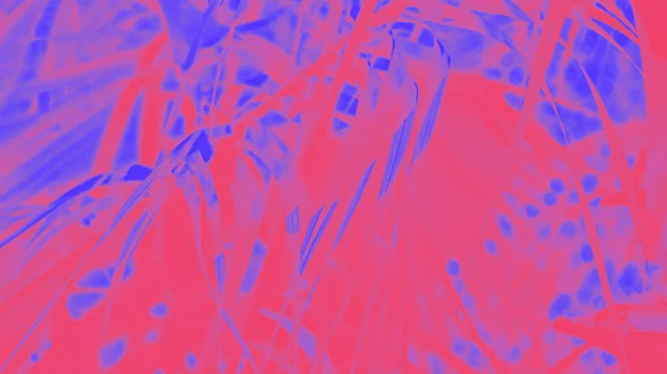 Fuchsia Barva Modrá Fialová Fialová Květinové Abstraktní Pozadí Panorama — Stock fotografie