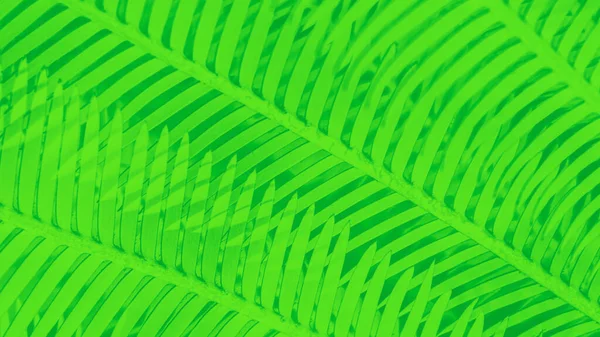 Palmiye Yaprakları Desenli Yeşil Soyut Panoramik Arkaplan — Stok fotoğraf