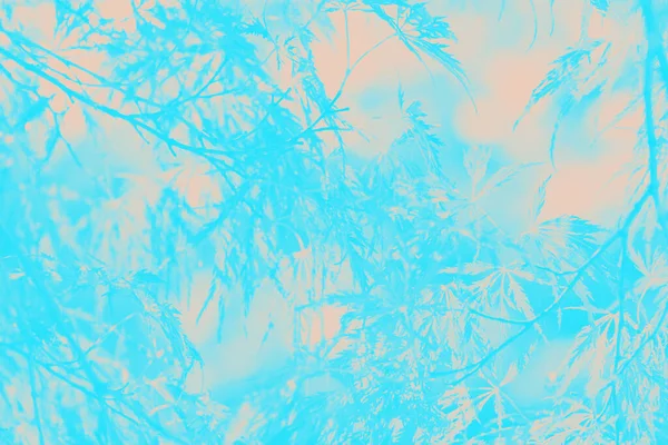 Abstraktní Tyrkysová Broskvová Barva Patchy Pozadí Květinovým Vzorem — Stock fotografie