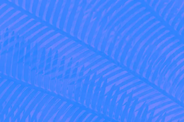 Azul Delicada Cor Rosa Abstrato Fundo Geométrico Com Padrão Folhas Imagens Royalty-Free