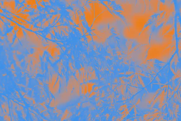Fondo Color Azul Naranja Abstracto Con Patrón Floral Imagen De Stock
