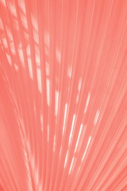 Coral salmon color corrugated palm leaf pattern background clipart