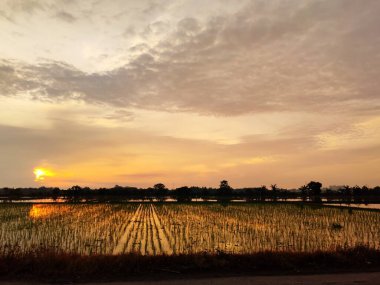 Tarlanın üzerinde güzel bir gün batımı