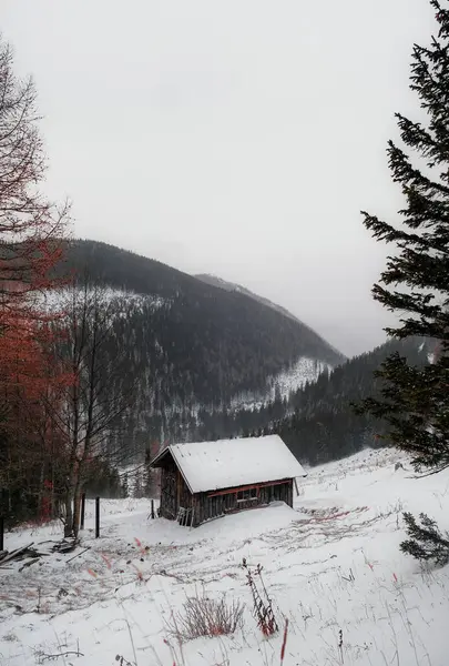 Dağlarda kış manzarası
