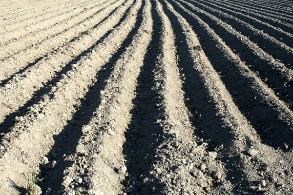 Ploved alanı yakın, çizgiler hizalandı.