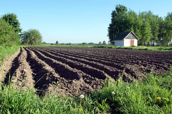 Güneşli bahar gününde sürülmüş tarlalar, tarım arazileri, yanındaki küçük beyaz bina..