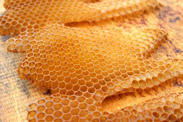 Tahta üzerinde bal arısının doğal bal tarakları, seçici odaklanma