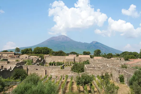 Ön planda Pompeii ile Vezüv Dağı manzarası