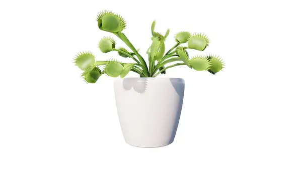 Yeşil bir bitkinin 3 boyutlu çizimi