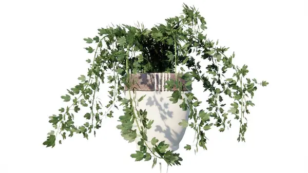 Beyaz arka planda yeşil yapraklar