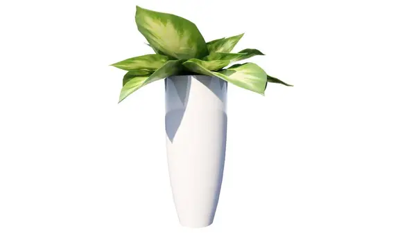 Beyaz arkaplanda yeşil yapraklı beyaz vazo.