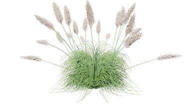 Büyük çiçekli yeşil çimenler