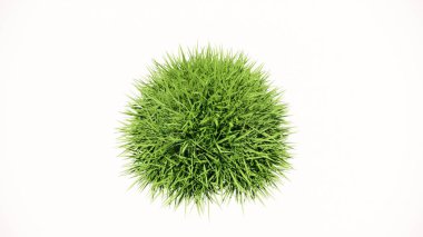 Beyaz arkaplanda yeşil çimen