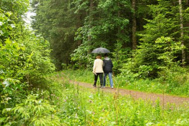  Islak bir orman patikasında iki son sınıf öğrencisi kol kola yürüyor..