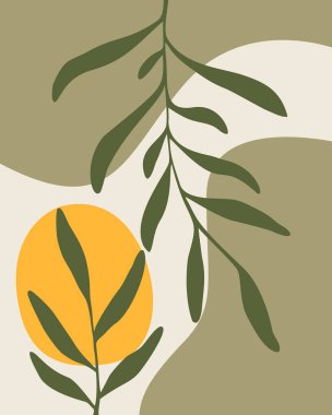 Dekoratif zeytin dalları. Soyut botanik çizimi. Botanik vektör silueti.