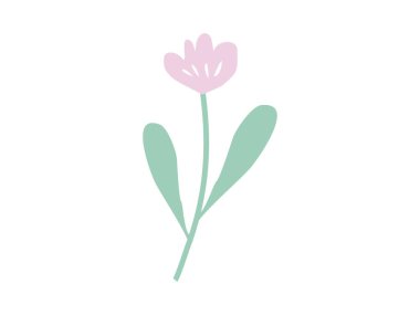 şeffaf arkaplanda düz el yaban çiçeği vektör çizimi