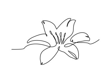 Nilüfer çiçeği şeffaf arkaplanda sürekli çizgi çizimi çizimi