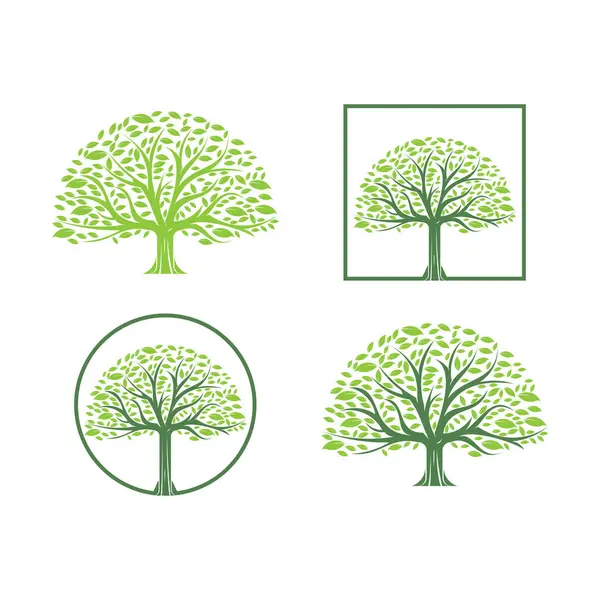 Ağaç dalı logosu seti, soyut şekiller ağaç tasarım vektörü illüstrasyonu