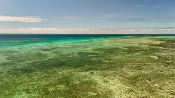 Green Island 'ın hava görüntüleri. Queensland, Avustralya açıklarındaki Büyük Set Resifi' ndeki bir mercan mağarası. Sahne turkuaz suları, uçan resifler, beyaz kumsallar, uzun bir iskele ve iskeleyi ve yoğun tropikal yağmur ormanlarını yakalıyor. Popüler.