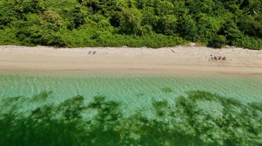 Green Island 'ın hava görüntüleri. Queensland, Avustralya açıklarındaki Büyük Set Resifi' ndeki bir mercan mağarası. Sahne turkuaz suları, uçan resifler, beyaz kumsallar, uzun bir iskele ve iskeleyi ve yoğun tropikal yağmur ormanlarını yakalıyor. Popüler.