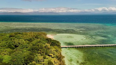 Green Island 'ın hava görüntüleri. Queensland, Avustralya açıklarındaki Büyük Set Resifi' ndeki bir mercan mağarası. Sahne turkuaz suları, uçan resifler, beyaz kumsallar, uzun bir iskele ve iskeleyi ve yoğun tropikal yağmur ormanlarını yakalıyor. Popüler.