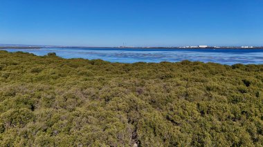 Bu hava aracı fotoğrafı, Kuzey Adelaide, Güney Avustralya 'daki St. Kilda Mangrove Patikası' nın geniş manzarasını yakalar. Sergide yemyeşil mangrovlar, kurak tuz tavaları, dalgalı gelgit kanalları ve kıyı sulamaları arasında çarpıcı bir tezat yer alıyor.