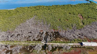 Bu hava aracı fotoğrafı, Kuzey Adelaide, Güney Avustralya 'daki St. Kilda Mangrove Patikası' nın geniş manzarasını yakalar. Sergide yemyeşil mangrovlar, kurak tuz tavaları, dalgalı gelgit kanalları ve kıyı sulamaları arasında çarpıcı bir tezat yer alıyor.