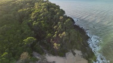 Palm Cove Beach, Cairns, Queensland, Avustralya: 4K hava aracı görüntülerinde çarpıcı bir palmiye çizgisi, sakin okyanus dalgaları, uzun iskele ve tropikal kıyı bitkileri görülüyor. Cairns 'in kuzeyinde yer alan Palm Cove sakin bir sahil kasabasıdır.