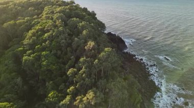 Palm Cove Beach, Cairns, Queensland, Avustralya: 4K hava aracı görüntülerinde çarpıcı bir palmiye çizgisi, sakin okyanus dalgaları, uzun iskele ve tropikal kıyı bitkileri görülüyor. Cairns 'in kuzeyinde yer alan Palm Cove sakin bir sahil kasabasıdır.
