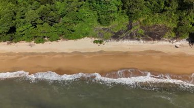 Cairns, Queensland 'daki Trinity Plajı, bu 4K hava aracı görüntülerinde, palmiye ağaçları, Taylor Point burnu, sahil tatil beldeleri ve Mercan Denizi' nin turkuaz sularıyla çevrili manzaralı bir plajı göstermektedir. Görüntüler tropikal bölgeleri gösteriyor.