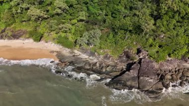 Cairns, Queensland 'daki Trinity Plajı, bu 4K hava aracı görüntülerinde, palmiye ağaçları, Taylor Point burnu, sahil tatil beldeleri ve Mercan Denizi' nin turkuaz sularıyla çevrili manzaralı bir plajı göstermektedir. Görüntüler tropikal bölgeleri gösteriyor.