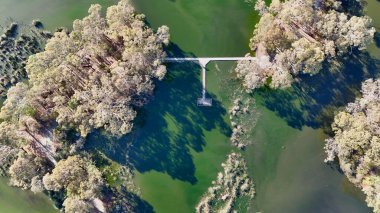 Güney Avustralya, Barker Dağı 'ndaki Laratinga Wetlands durgun göletleri, çeşitli kuş yaşamları ve yürüyen patikalarıyla bilinen sakin bir doğa koruma alanıdır. Bu hava aracı görüntüsü, durgun su ve su bitkilerinin üzerindeki tahta tahta kaldırımların yükseltilmiş görüntüsünü yakalıyor.