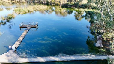 Güney Avustralya, Barker Dağı 'ndaki Laratinga Wetlands durgun göletleri, çeşitli kuş yaşamları ve yürüyen patikalarıyla bilinen sakin bir doğa koruma alanıdır. Bu hava aracı görüntüsü, durgun su ve su bitkilerinin üzerindeki tahta tahta kaldırımların yükseltilmiş görüntüsünü yakalıyor.