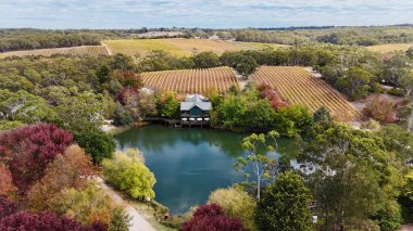 Güney Avustralya, Kuitpo 'da bulunan K1 Şaraphanesi, Adelaide Hills' in güneyinde yer alan ünlü bir şaraphanedir. Bu hava aracı görüntüsü, verimli üzüm bağları ve ormanlık alanlarla çevrili sakin bir göle yansıyan güzel sonbahar renklerini yakalar. Şey...