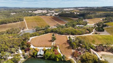Güney Avustralya, Kuitpo 'da bulunan K1 Şaraphanesi, Adelaide Hills' in güneyinde yer alan ünlü bir şaraphanedir. Bu hava aracı görüntüsü, verimli üzüm bağları ve ormanlık alanlarla çevrili sakin bir göle yansıyan güzel sonbahar renklerini yakalar. Şey...