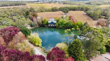 Güney Avustralya, Kuitpo 'da bulunan K1 Şaraphanesi, Adelaide Hills' in güneyinde yer alan ünlü bir şaraphanedir. Bu hava aracı görüntüsü, verimli üzüm bağları ve ormanlık alanlarla çevrili sakin bir göle yansıyan güzel sonbahar renklerini yakalar. Şey...