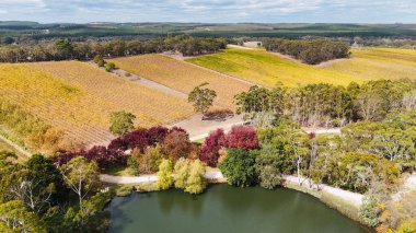 Güney Avustralya, Kuitpo 'da bulunan K1 Şaraphanesi, Adelaide Hills' in güneyinde yer alan ünlü bir şaraphanedir. Bu hava aracı görüntüsü, verimli üzüm bağları ve ormanlık alanlarla çevrili sakin bir göle yansıyan güzel sonbahar renklerini yakalar. Şey...