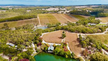Güney Avustralya, Kuitpo 'da bulunan K1 Şaraphanesi, Adelaide Hills' in güneyinde yer alan ünlü bir şaraphanedir. Bu hava aracı görüntüsü, verimli üzüm bağları ve ormanlık alanlarla çevrili sakin bir göle yansıyan güzel sonbahar renklerini yakalar. Şey...