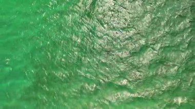Green Island 'ın hava görüntüleri. Queensland, Avustralya açıklarındaki Büyük Set Resifi' ndeki bir mercan mağarası. Sahne turkuaz suları, uçan resifler, beyaz kumsallar, uzun bir iskele ve iskeleyi ve yoğun tropikal yağmur ormanlarını yakalıyor. Popüler.