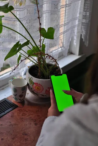 Ev bitkisi arka planında krom anahtar ekranlı akıllı telefon