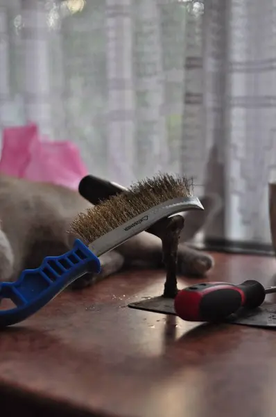 Sıcak Karışıklık: İş Araçları Arasında Rahat Bir Kedi