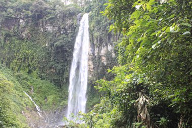 Görkemli Grojogan Sewu Şelalesi Endonezya, Tawangmangu 'nun yemyeşil uçurumlarında dalgalanıyor.