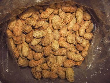 Şeffaf Plastik Torba İçinde Taze Fıstık Bolluğu